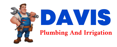 Trusted plumber in BIPPUS